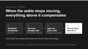 Illustrative diagram showing how restricted ankle dorsiflexion leads the knee, hips and pelvis, and low back to compensate