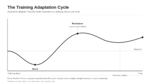 Illustrative diagram of the training adaptation cycle showing alarm, resistance, and supercompensation phases used to pace stroke recovery programming