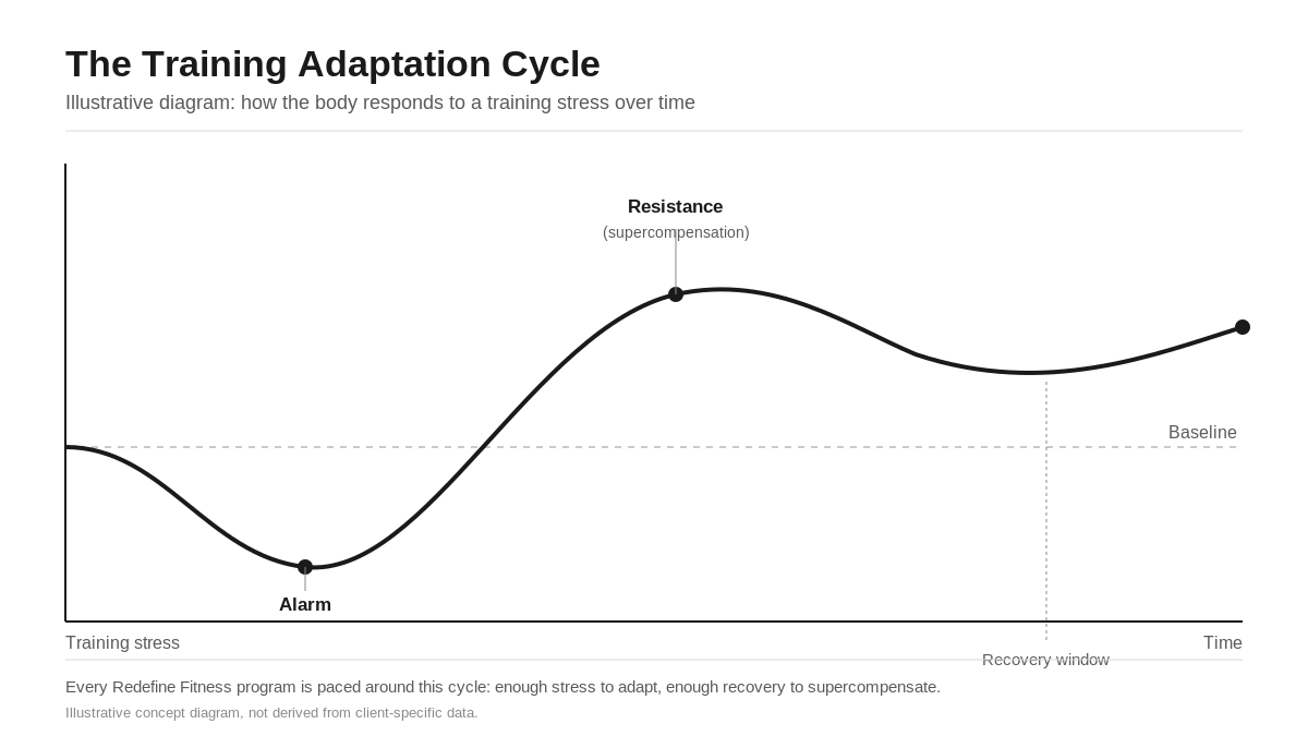 Illustrative diagram of the training adaptation cycle showing alarm, resistance, and supercompensation phases used to pace stroke recovery programming
