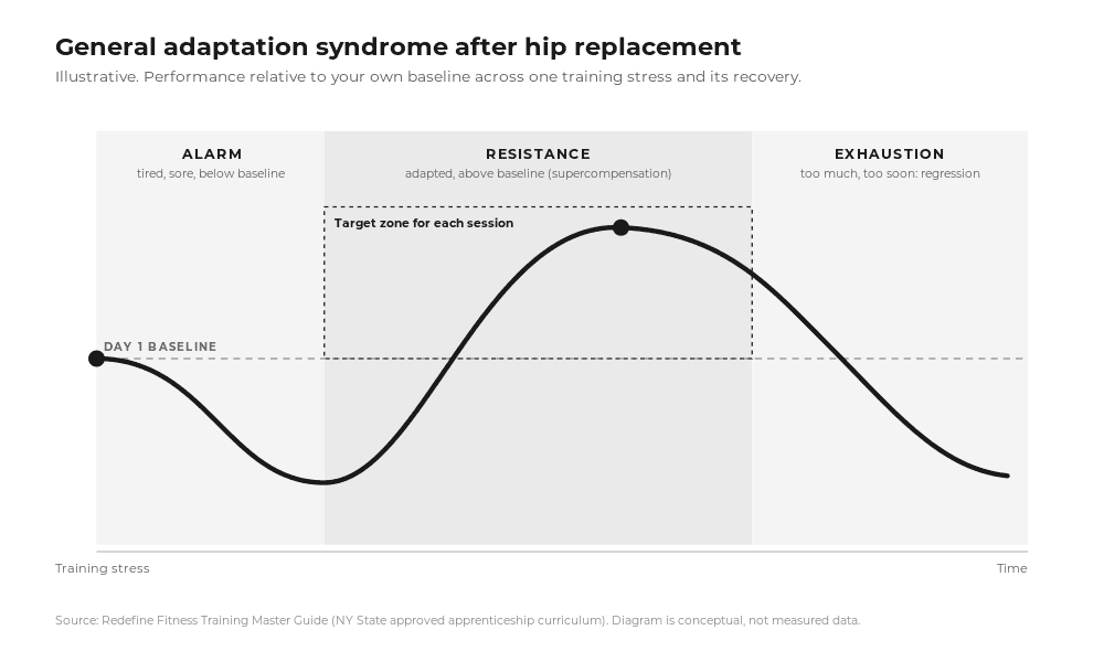 Illustrative diagram of general adaptation syndrome: performance dips in the alarm phase, rises above baseline in the resistance phase, and regresses in the exhaustion phase