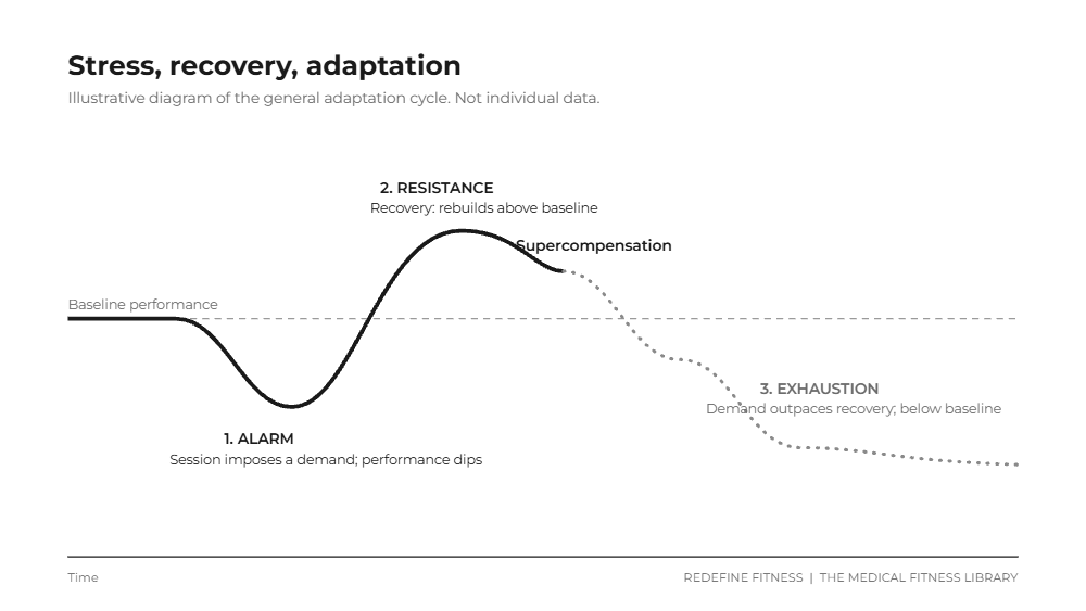 Illustrative diagram of the stress, recovery and adaptation cycle: performance dips below baseline after a session, rises above baseline with recovery, and falls below baseline when recovery is skipped