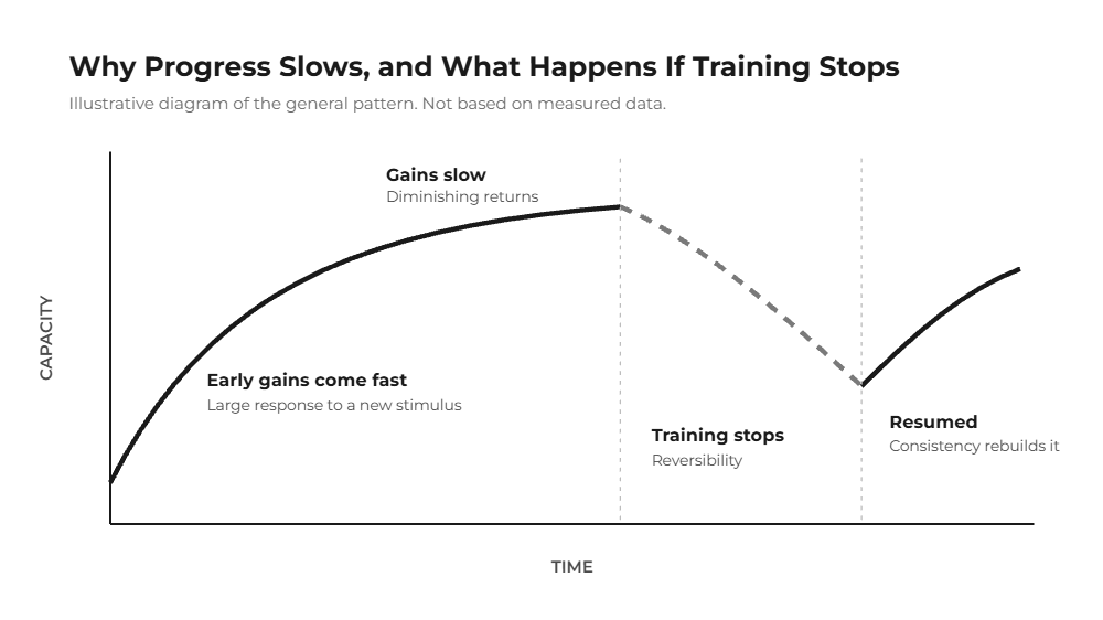 Illustrative line diagram showing fast early gains, slowing progress from diminishing returns, a dip when training stops from reversibility, and recovery when training resumes